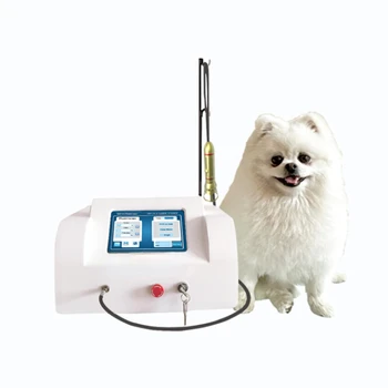 2022 Терапевтический лазерный прибор Прибор для лазерной терапии домашних животных