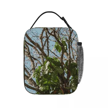 Jungle Leaves - Real Tree Lunch Bags Изолированная сумка для обеда Водонепроницаемая термосумка Сумки для пикника для женщин Работа Дети Школа