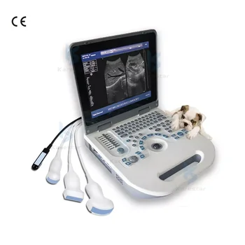 Mindray Vet Ultrasound Портативный ветеринарный ультразвуковой аппарат цена