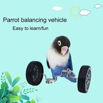 Parrot Игрушка для дрессировки домашних животных Мини-двухрядные роликовые коньки для попугаев Повышение интеллекта птицы с помощью вращающихся колес Безопасный попугай