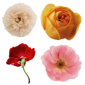  Винтажные цветок розы Теплопередача Модные аппликации для одежды Термонаклейка для одежды Утюг на патчах для одежды