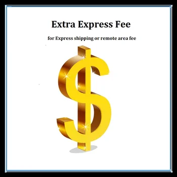 Дополнительная плата за экспресс-доставку ИЛИ плата за удаленный район ИЛИ Разница в цене