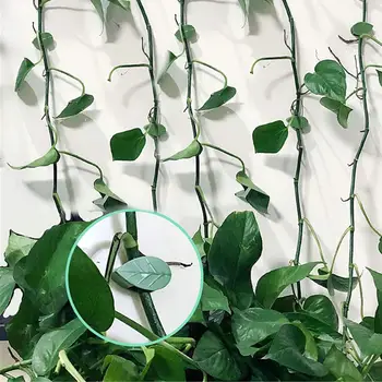 Зажим для растений с липкой лентой Зажим для стен растений Эффективные садовые принадлежности Фиксаторы растений в форме листьев с клейкой лентой для лазания