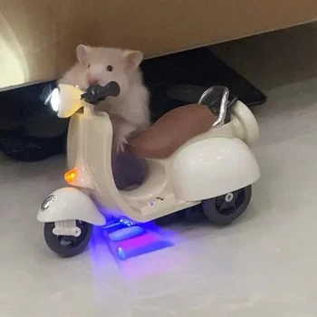 Игрушки для хомяков Вращение на 360 градусов Освещение мотоцикла Электрическое домашнее животное Крыса Игрушка Аксессуары для хомяка Мотоцикл Электрические игрушки Кролик