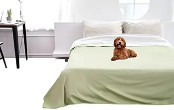 Одеяло для собак, кошек и людей | Протектор для кровати, дивана и дивана | Король и королева 95 x 90 дюймов (зеленый, бежевый) | Рев