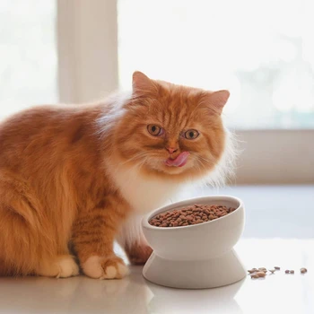  Приподнятая миска для еды для кошек,Миска для воды Наклоненная керамическая миска для воды для кошек Усы подходят для домашней кошки, можно мыть в посудомоечной машине