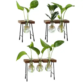 Стеклянная ваза Домашний декор Горшок для растений Гидропонная ваза для цветов Простая декоративная ваза